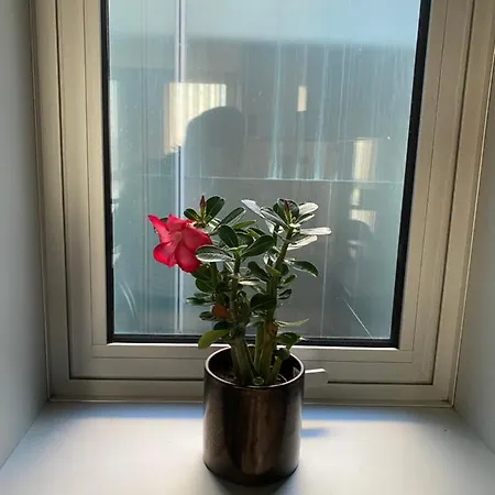 Apartman Host'in Arrais Aveiro