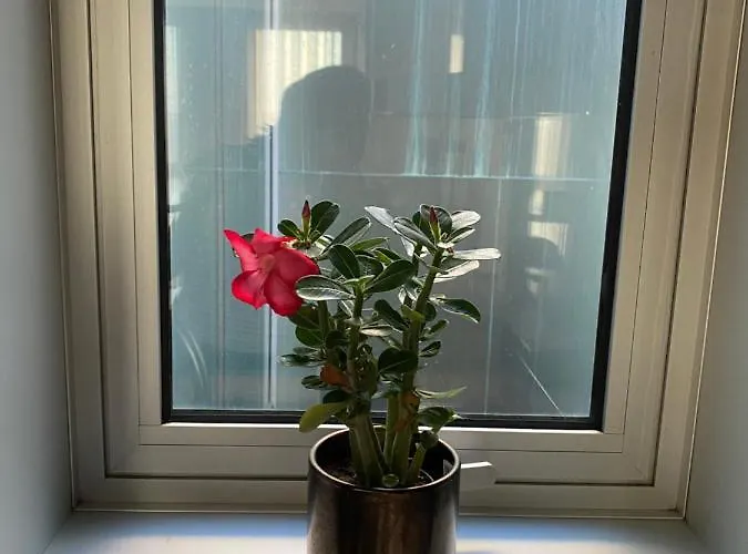 Apartment Host'in Arrais Aveiro